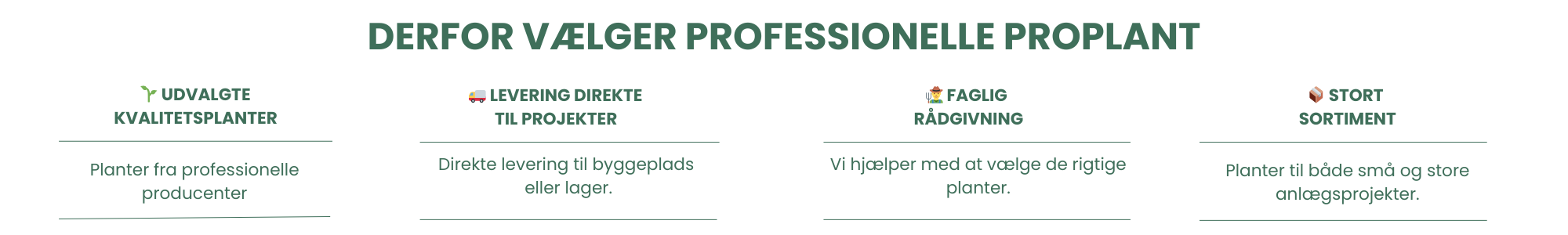 Hjemmeside Smal Banner